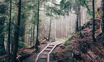 Datça Kazan Betçe Kepçe